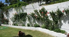 Villa Anna in Siviri, Halkidiki