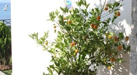 Possidi, Kassandra, Halkidiki