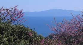 Kriopigi, Kassandra, Halkidiki