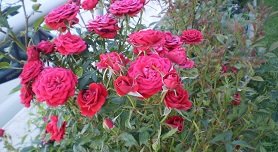 Anatolia Studios in Kriopigi, Halkidiki