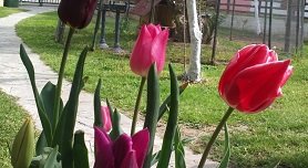 Polychrono, Polykhrono, Kassandra, Halkidiki