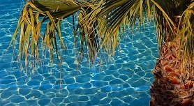 Pefkochori, Pefkohori, Kassandra, Halkidiki