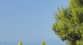 Nea Poteidaia, Nea Potidaia, Nea Potidea, Halkidiki