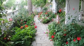 Paralia Dionysiou, Halkidiki