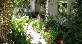 Paralia Dionysiou, Halkidiki