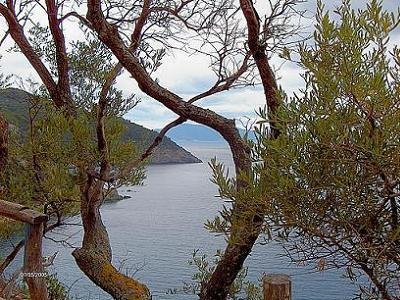 AG ANARGYROI beach Alonissos