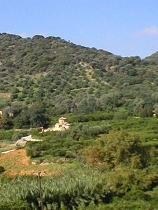 The green valley with the orange groves and other fruit trees that surrounds Fodele, in the distance the Byzantine Panagia church