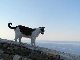 Sifnos Kastro