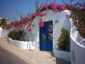 Bougainville in Agios Ioannis