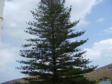 Andros