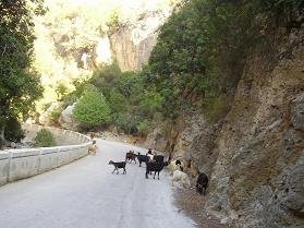 Anidri, Kreta.