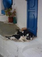 Poes in Ano Syros