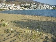 The village of Batsi