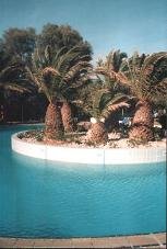 Capsis Hotel