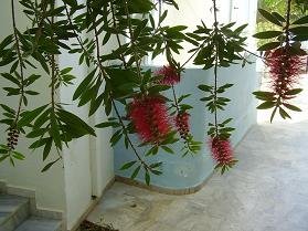 CretaSun Apartments Makrigialos, Kreta