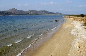 Dolphin Apartments in Antiparos