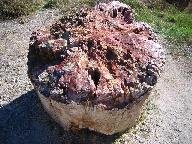 The stone forrest near Sigri