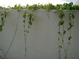 Hotel Apartments Maison Eriki, Crete