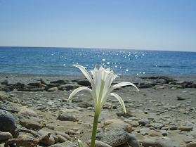 Ferma, zuidoost Kreta