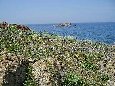 Gavathas Lesbos