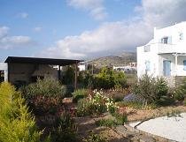 Ikia Studios