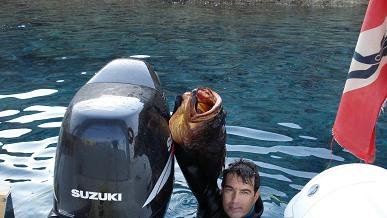 Koufonissia, Koufonissi