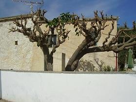 Kefalas, Apokoronas, Crete