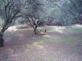 Kefalas, Apokoronas, Crete, Kreta