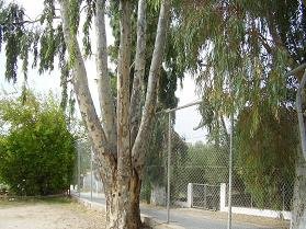 Kefalas, Apokoronas, Crete, Kreta