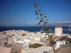 Mykonos stad