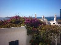 Een huis bedekt met bougainville.