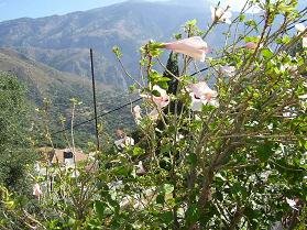Moni, Sougia, Kreta, Crete