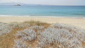 Mikri Vigla beach