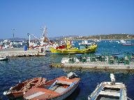Paros Aliki