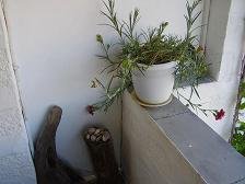 Patmos, Hotel Mathios Studios