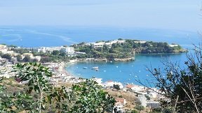 Pussycat enjoying the sun in Agia Pelagia