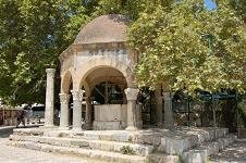 Hippocatres tree, Plataan van Hipppocrates