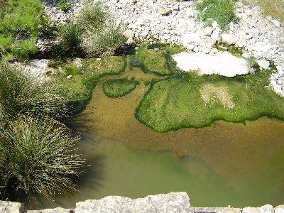 Lesbos, Polichnitos hot springs