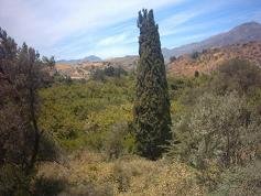 Preveli Beach, Crete, Kreta.
