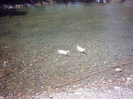 Preveli Beach, Crete, Kreta.