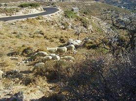 Prodomi, Crete, Kreta
