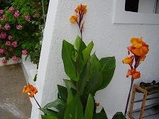 Samos, hotel Ioannas Studios