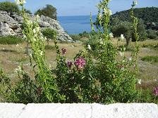 Samos, hotel Ioannas Studios