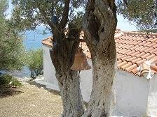 Samos, Limnionas Beaches