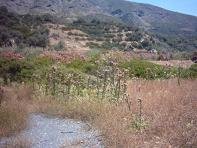 Sfinari Beach - Sfinari strand