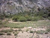 Schapen en geiten zie je overal rond de kloof