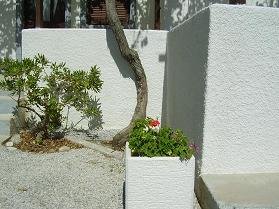 Tania Appartementen Kreta