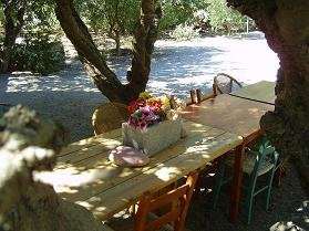 Tania Appartementen Kreta