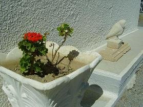 Tania Apartments in Crete