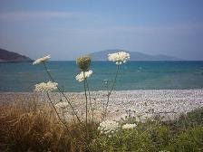 Tholos Beach - Tholos strand.